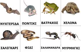 ζωάκια
